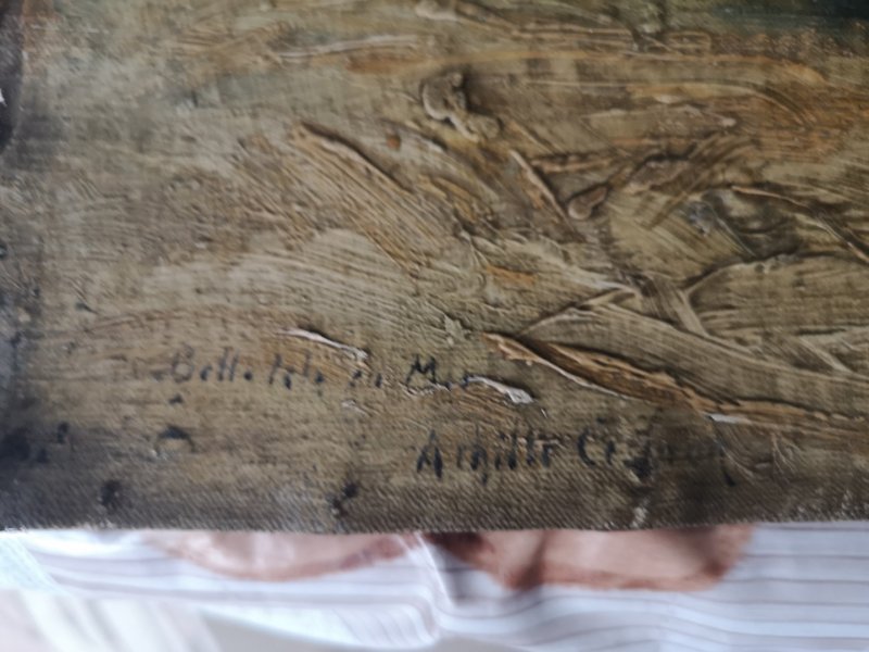 Belle ile en Mer Falaise